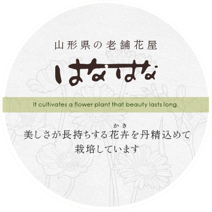 美しさが長持ちする花卉を丹精込めて栽培しています